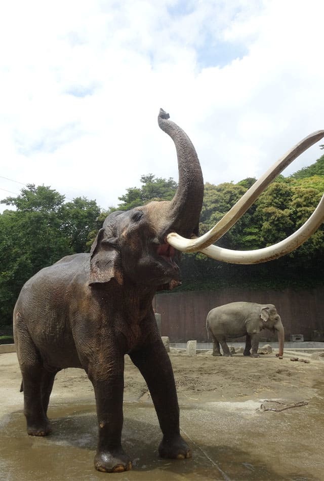 ここでしか見られない希少動物の宝庫！ 横浜「金沢動物園」を徹底解説