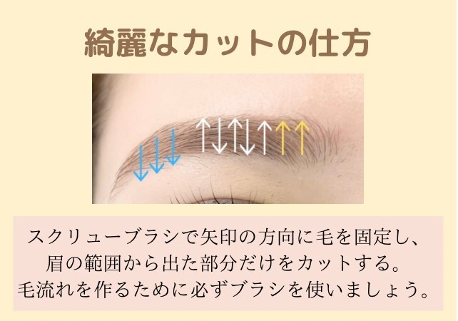 眉がダサいのは整え方が間違ってるからかも!?プロが教える「よくあるNGな整え方」3選1.jpg