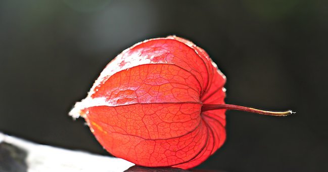 好みのタイプと好きな人は違う?決定的な違いを解説します!