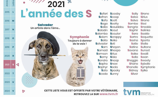 動物愛護の法律が改正。フランスのペット事情ととのさんの新しい家族