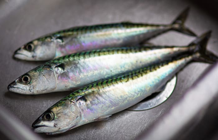 10月が旬の食材｜野菜や果物・魚介類を美味しく食べるおすすめレシピも