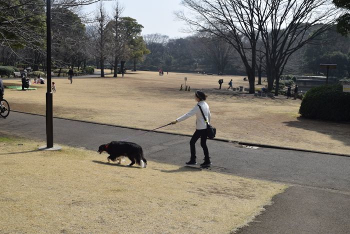 皇居 楽しみ方徹底レポ！訪れたら絶対見たいポイント教えます