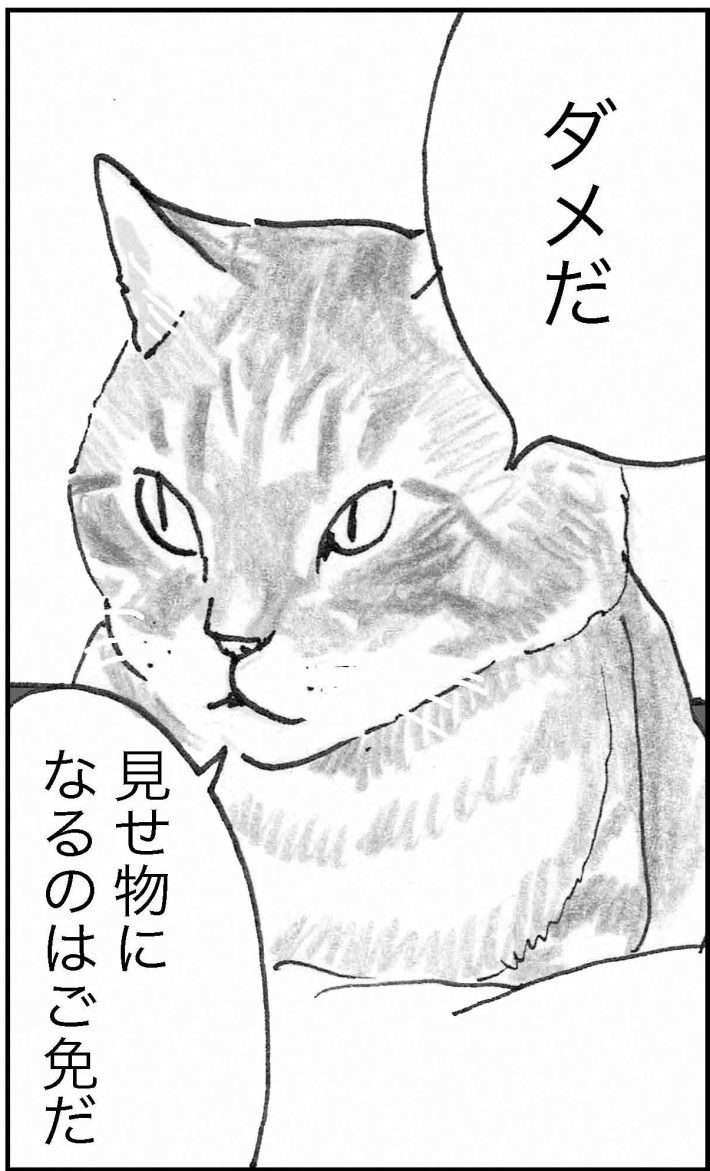 ＜猫漫画＞「猫の名言」ツイートへ大反響。働きづめOLの希望に…／モンちゃんと私