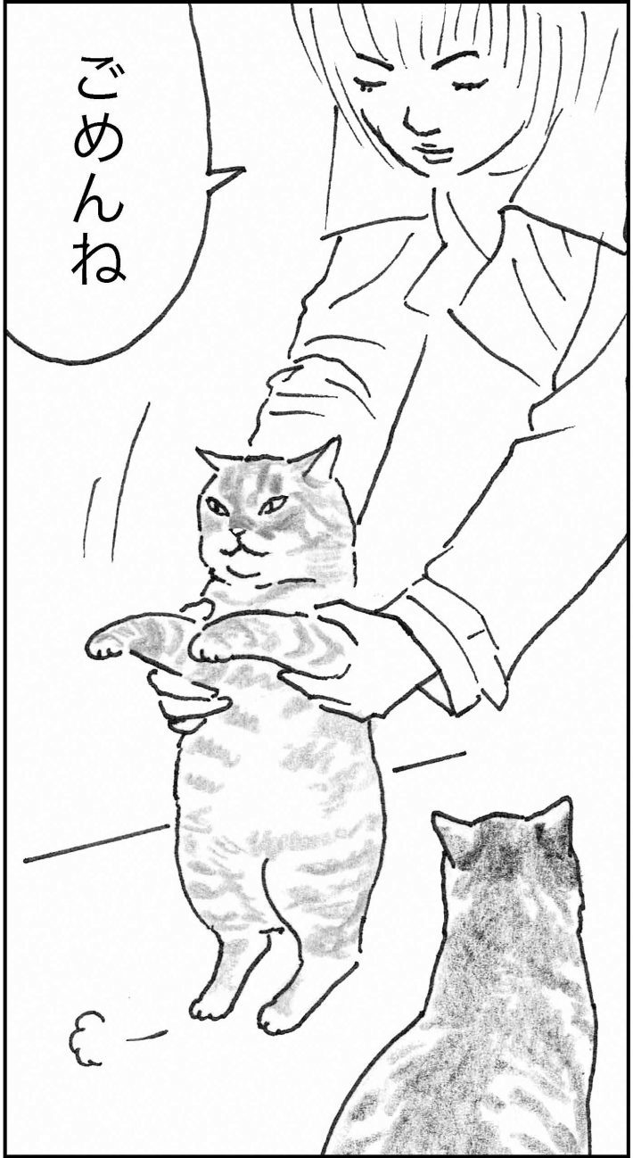 ＜猫漫画＞「猫の名言」ツイートへ大反響。働きづめOLの希望に…／モンちゃんと私