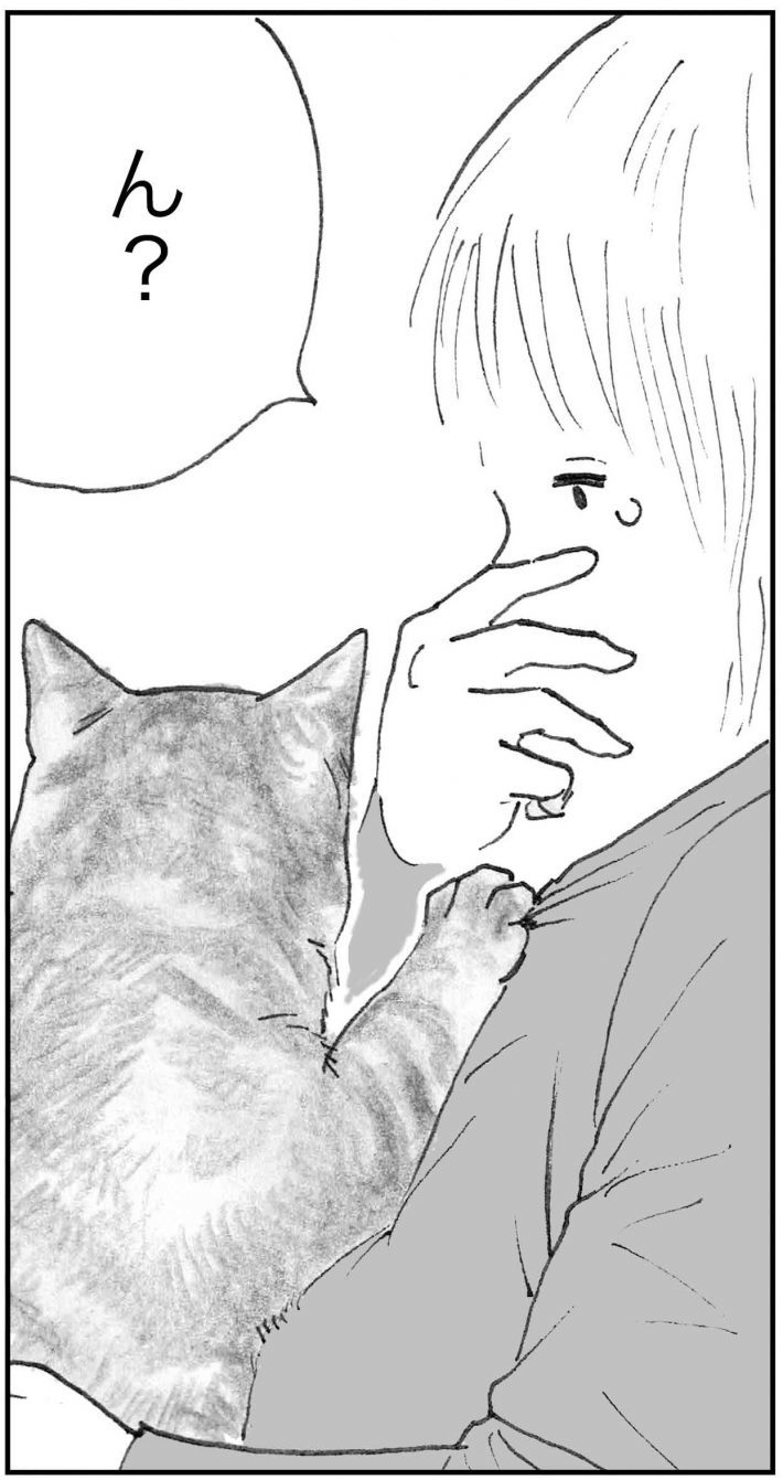 ＜猫漫画＞家にあげた「猫先生」に甘えられるミキちゃん。そこに現れたのは…？／モンちゃんと私