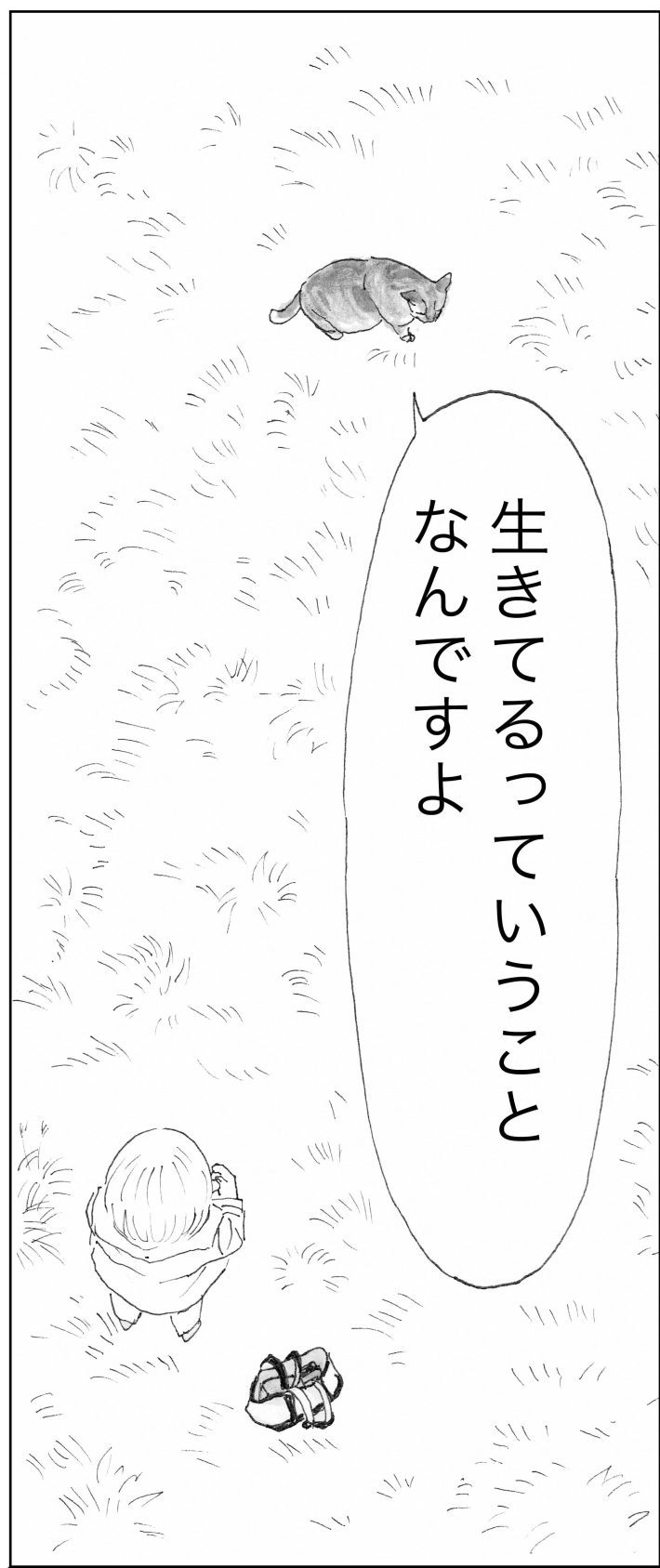 ＜猫漫画＞『俺、つしま』筆者の新作がスタート／モンちゃんと私