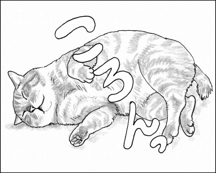 ＜猫漫画＞Twitterで大人気の猫先生がファンミーティング開催／モンちゃんと私