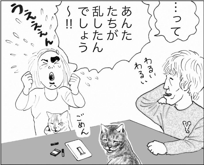 ＜猫漫画＞猫先生の名言「眉はこころの鏡だ」そのココロは？／モンちゃんと私