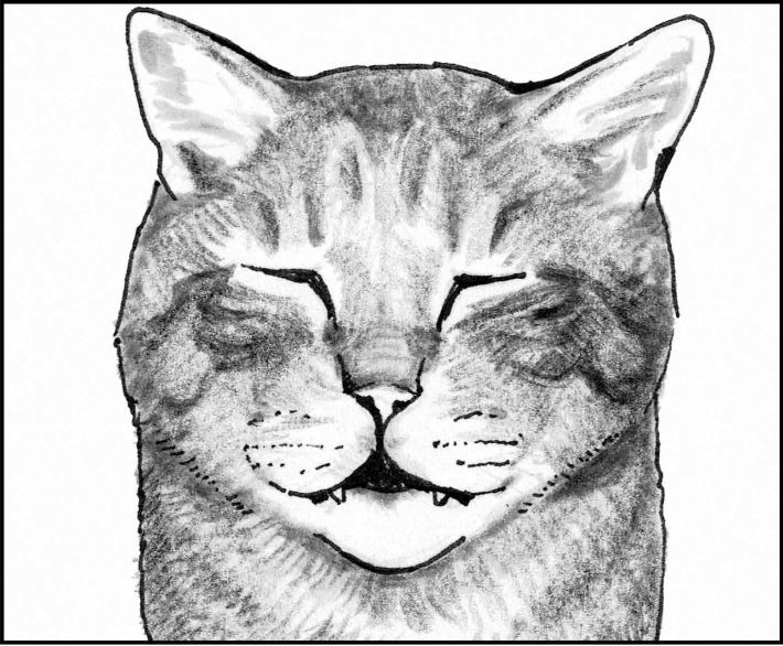 ＜猫漫画＞猫先生の名言「眉はこころの鏡だ」そのココロは？／モンちゃんと私