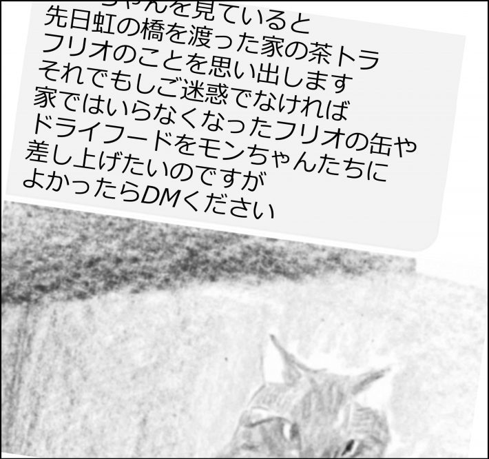 ＜猫漫画＞Twitterで人気急上昇の”しゃべる猫”が意外な提案を!?／モンちゃんと私