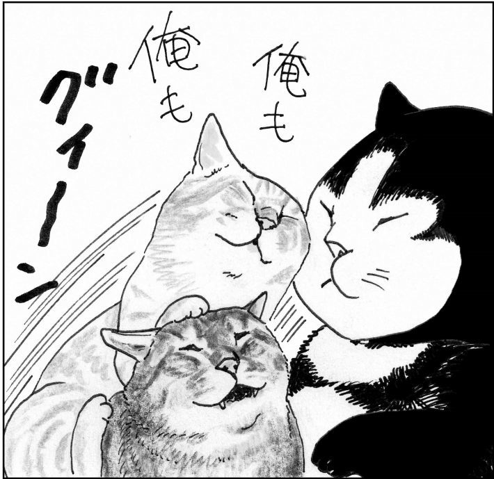 ＜猫漫画＞Twitterで人気急上昇の”しゃべる猫”が意外な提案を!?／モンちゃんと私