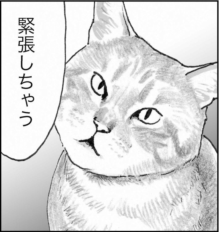 ＜猫漫画＞猫先生の名言「眉はこころの鏡だ」そのココロは？／モンちゃんと私