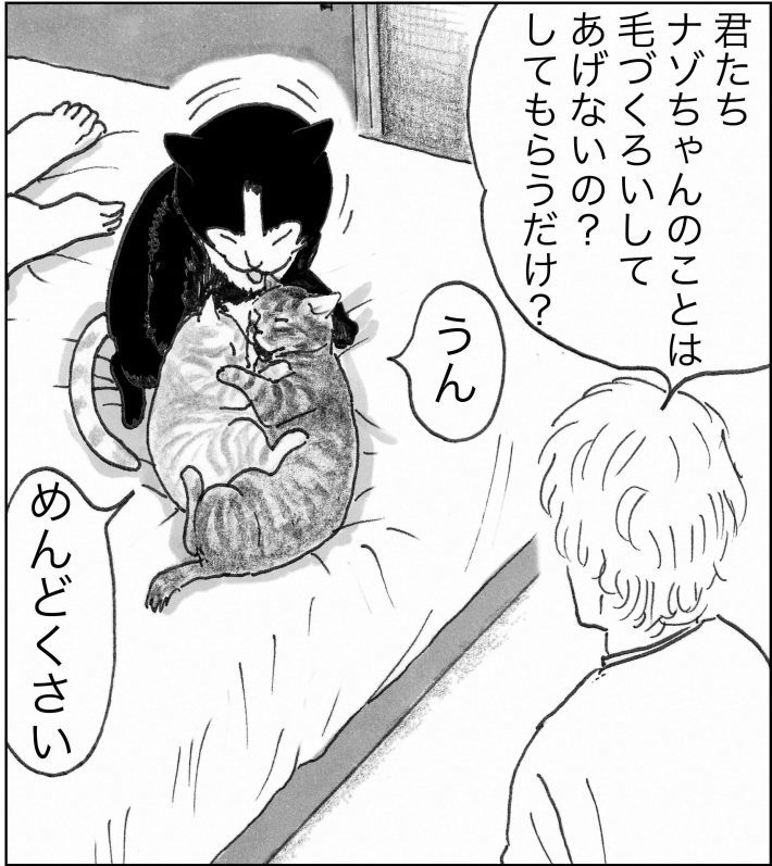 ＜猫漫画＞Twitterで人気急上昇の”しゃべる猫”が意外な提案を!?／モンちゃんと私