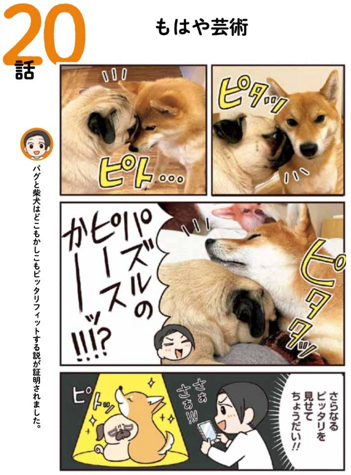 まるでドMと女王様?! パグと柴犬のドタバタな日常が笑える〈マンガ〉