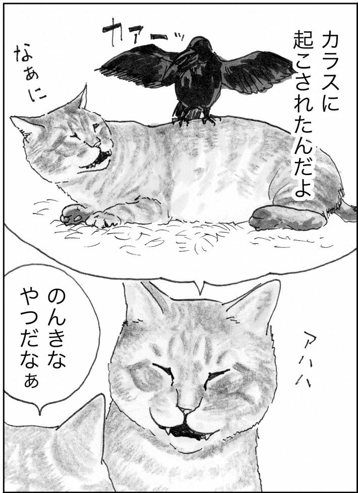 ＜猫漫画＞人間の言葉をしゃべる猫たちが、日暮れに向かう先にいたのは？／モンちゃんと私