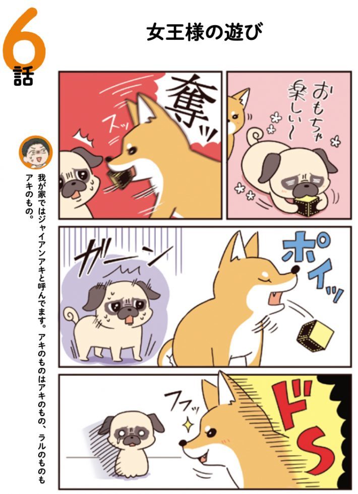 まるでドMと女王様?! パグと柴犬のドタバタな日常が笑える〈マンガ〉