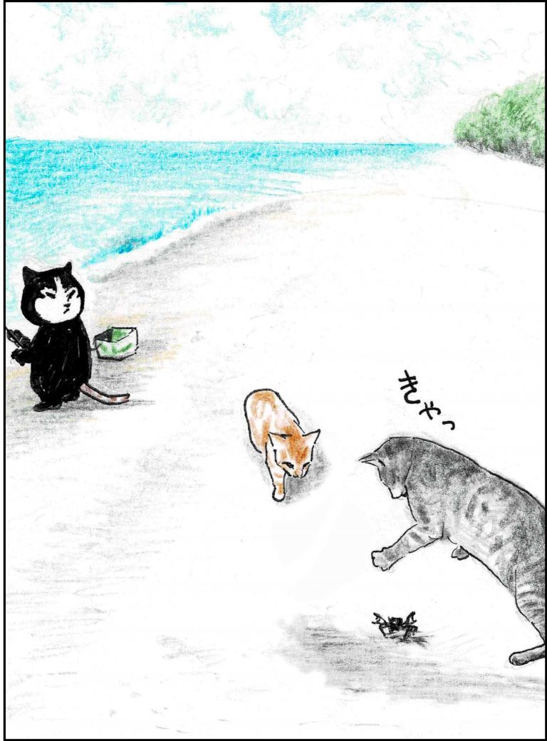 ＜猫漫画＞借金返済に苦しむ派遣OL、2人＋3匹の“いそうろう”と…／モンちゃんと私