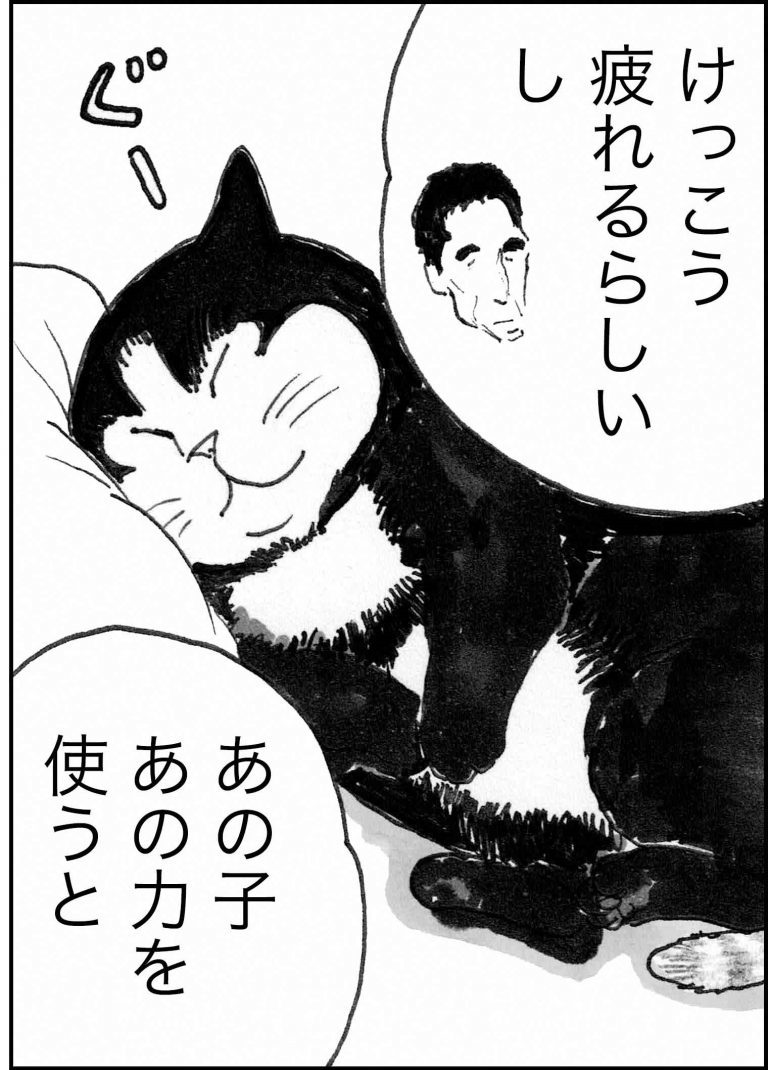 ＜猫漫画＞貧乏OLの家に棲みついた、不思議な猫たちの能力／モンちゃんと私