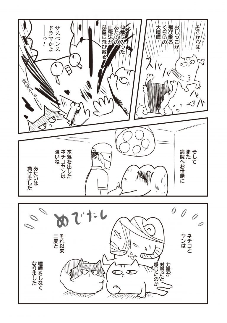 猫のケンカを仲裁したら大変なことに…。ゲイ作家もちぎさんが描く“猫との生活”＜漫画＞