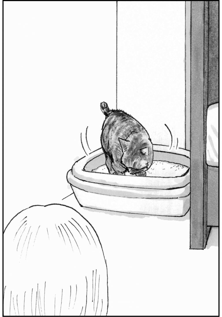 ＜猫漫画＞貧乏OLの家に棲みついた、不思議な猫たちの能力／モンちゃんと私