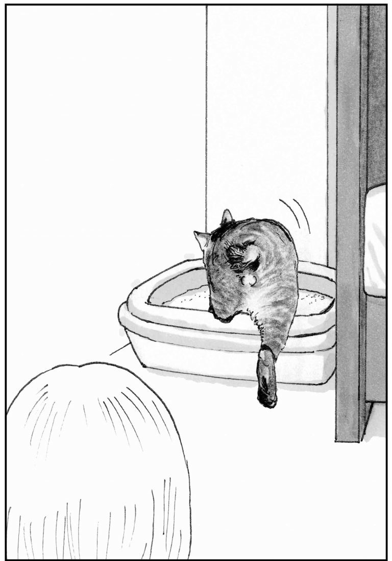 ＜猫漫画＞貧乏OLの家に棲みついた、不思議な猫たちの能力／モンちゃんと私