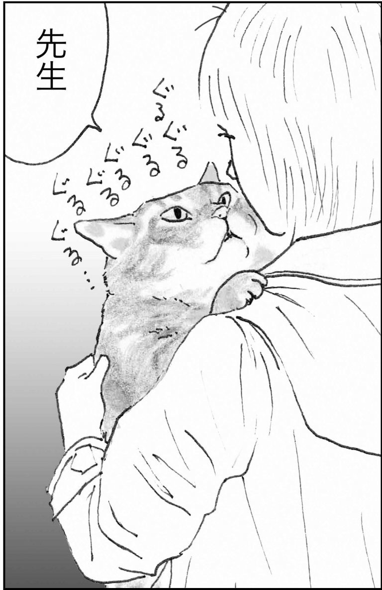 ＜猫漫画＞暗い顔で働いていた派遣OLが、最近妙に元気なワケ／モンちゃんと私