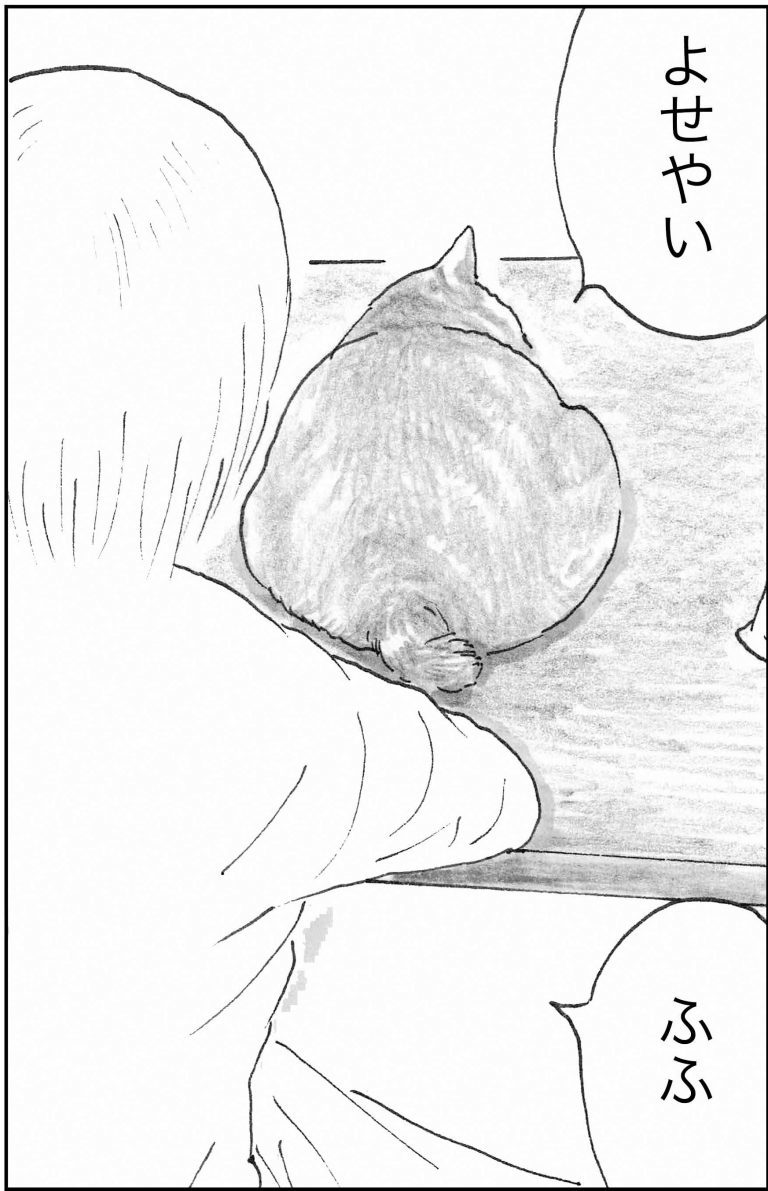 ＜猫漫画＞野良猫先生、なんとなく深い言葉を発する／モンちゃんと私