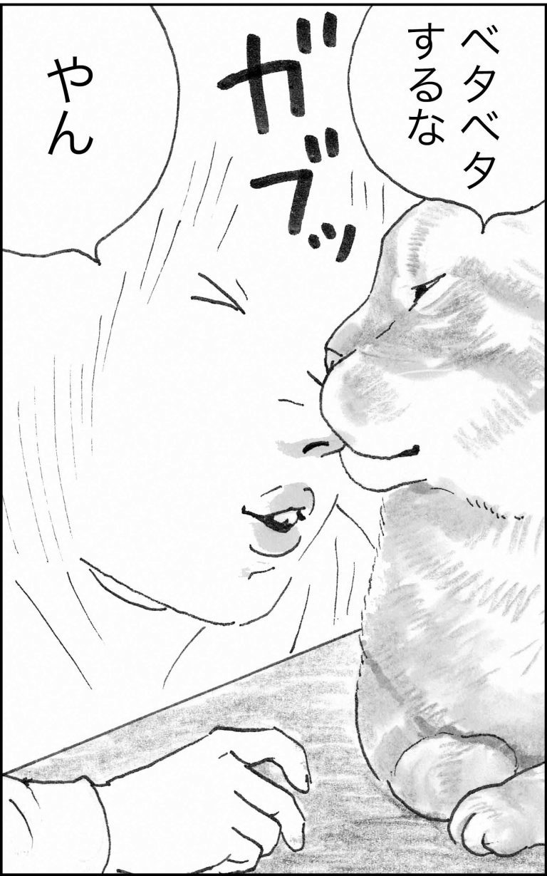 ＜猫漫画＞野良猫先生、なんとなく深い言葉を発する／モンちゃんと私