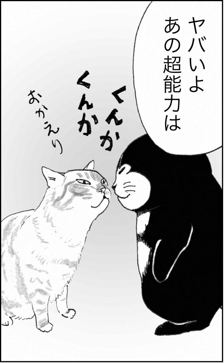 ＜猫漫画＞貧乏OLの家に棲みついた、不思議な猫たちの能力／モンちゃんと私