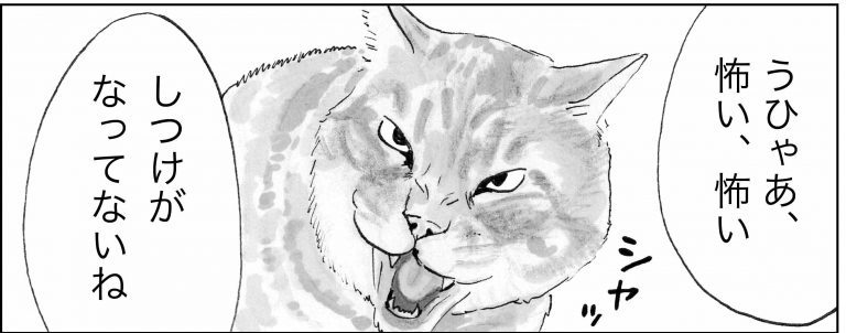 ＜猫漫画＞チンピラに殴られたおいさんを助けて！謎の”妖術猫”が登場／モンちゃんと私