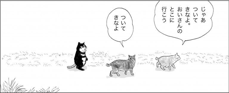 ＜猫漫画＞危機！猫たちの“おいさん”がワンカップを飲んでいたら、背後から何者かに…／モンちゃんと私