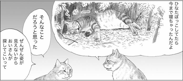 ＜猫漫画＞人間の言葉をしゃべる猫たちが、日暮れに向かう先にいたのは？／モンちゃんと私