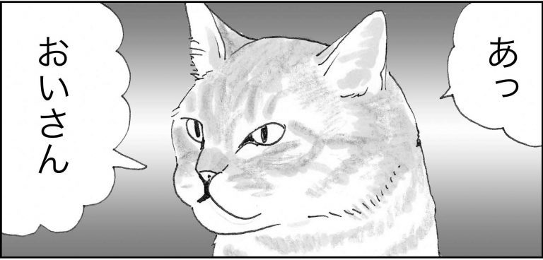 ＜猫漫画＞チンピラに殴られたおいさんを助けて！謎の”妖術猫”が登場／モンちゃんと私