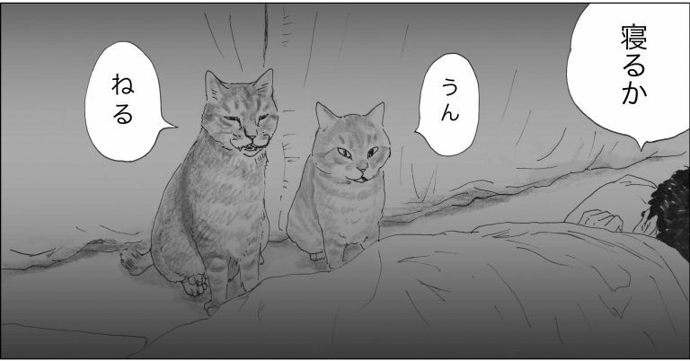 ＜猫漫画＞人間の言葉をしゃべる猫たちが、日暮れに向かう先にいたのは？／モンちゃんと私