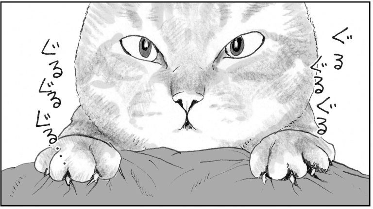 ＜猫漫画＞河原で会った「しゃべる猫」が家に来た／モンちゃんと私