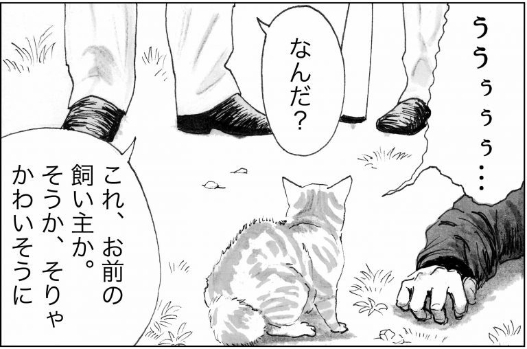 ＜猫漫画＞チンピラに殴られたおいさんを助けて！謎の”妖術猫”が登場／モンちゃんと私