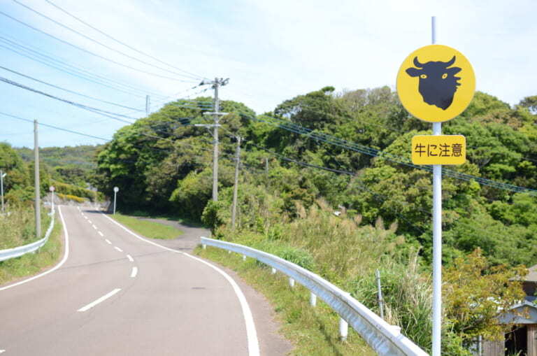 世界遺産「野崎島」へもアクセス可能。【長崎・小値賀島】でゆったりとした島時間を楽しむ旅