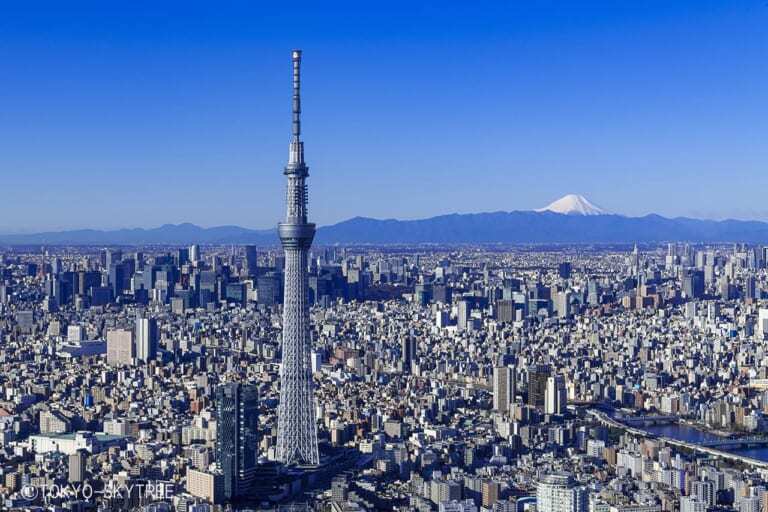 “すみっコぐらし”がおばけに。東京スカイツリーⓇで「初のコラボイベント」開催中