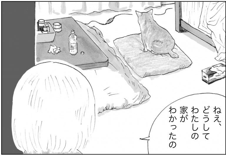 ＜猫漫画＞河原で会った「しゃべる猫」が家に来た／モンちゃんと私