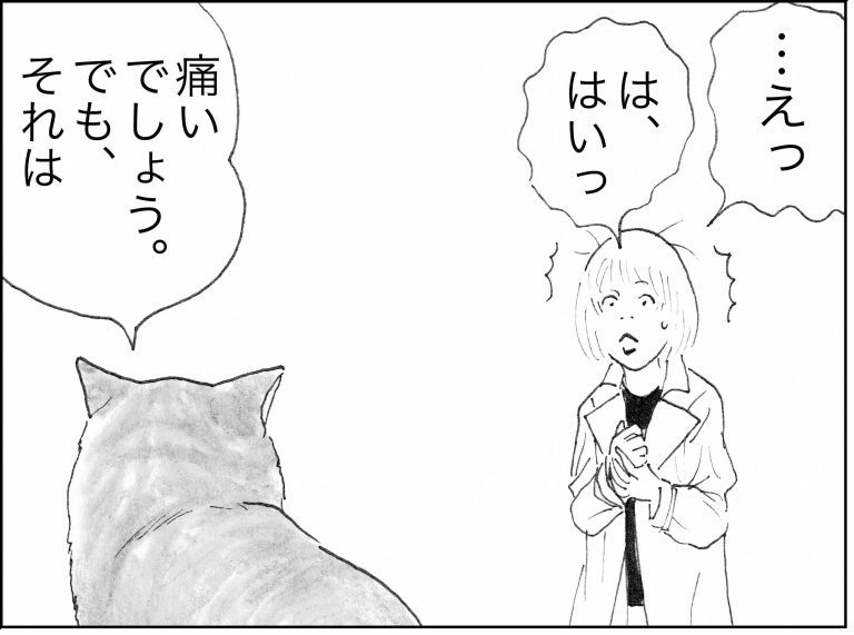 ＜猫漫画＞『俺、つしま』筆者の新作がスタート／モンちゃんと私