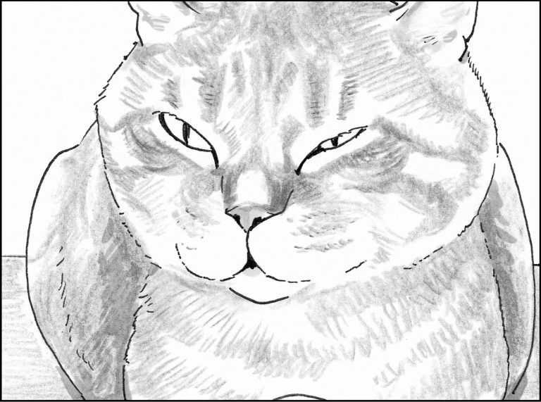 ＜猫漫画＞野良猫先生、なんとなく深い言葉を発する／モンちゃんと私