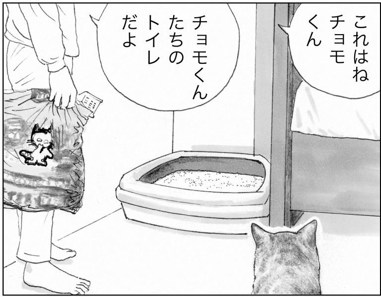 ＜猫漫画＞貧乏OLの家に棲みついた、不思議な猫たちの能力／モンちゃんと私