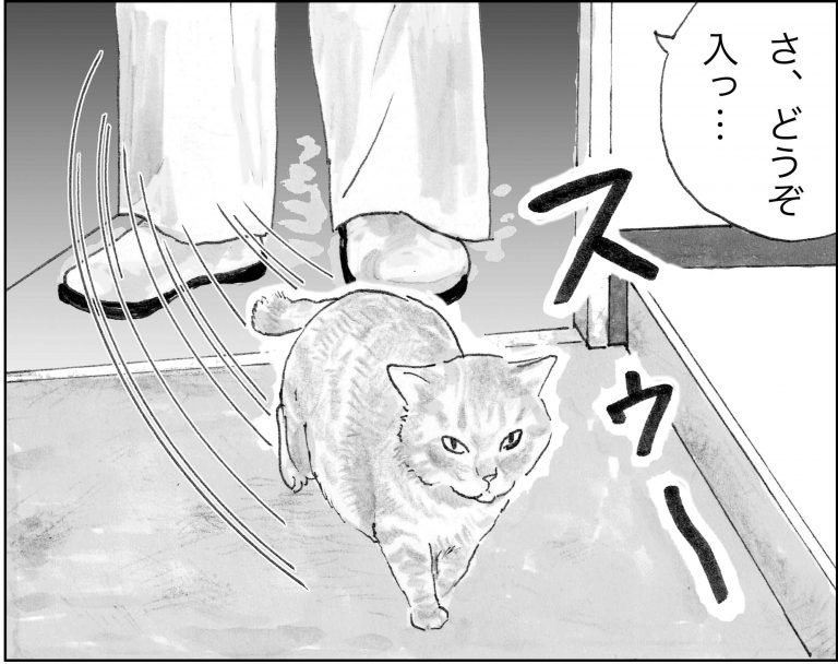 ＜猫漫画＞河原で会った「しゃべる猫」が家に来た／モンちゃんと私