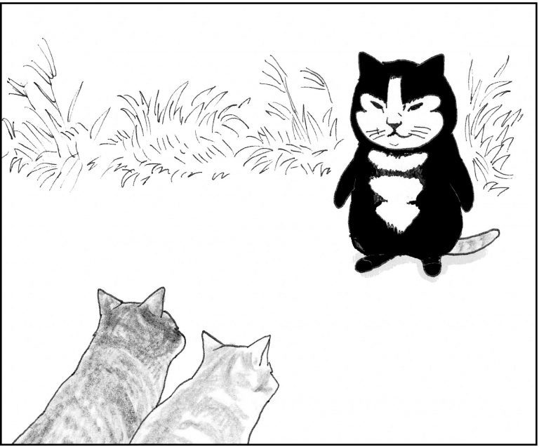 ＜猫漫画＞危機！猫たちの“おいさん”がワンカップを飲んでいたら、背後から何者かに…／モンちゃんと私