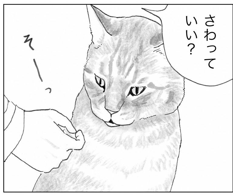 ＜猫漫画＞『俺、つしま』筆者の新作がスタート／モンちゃんと私