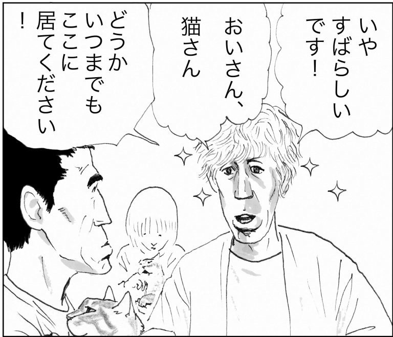 ＜猫漫画＞貧乏OLの家に棲みついた、不思議な猫たちの能力／モンちゃんと私