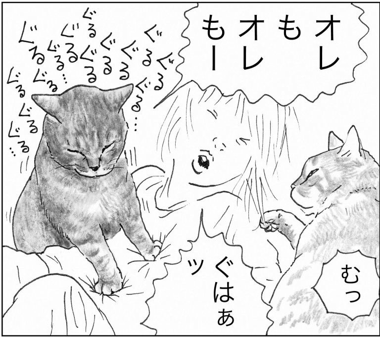 ＜猫漫画＞野良猫先生、なんとなく深い言葉を発する／モンちゃんと私