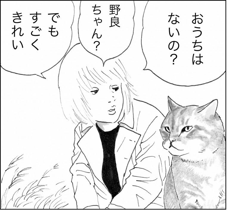 ＜猫漫画＞『俺、つしま』筆者の新作がスタート／モンちゃんと私