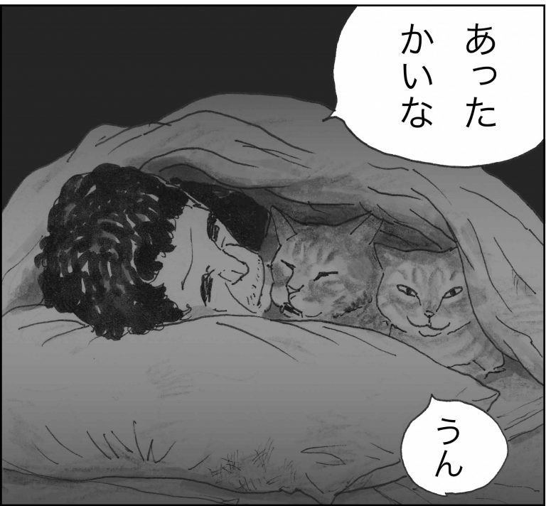 ＜猫漫画＞人間の言葉をしゃべる猫たちが、日暮れに向かう先にいたのは？／モンちゃんと私