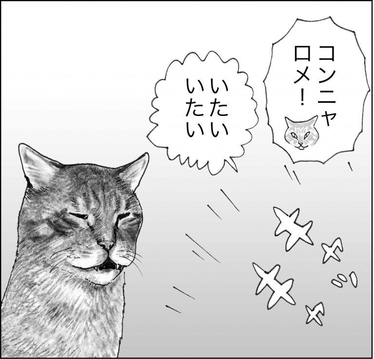 ＜猫漫画＞野良猫先生、なんとなく深い言葉を発する／モンちゃんと私